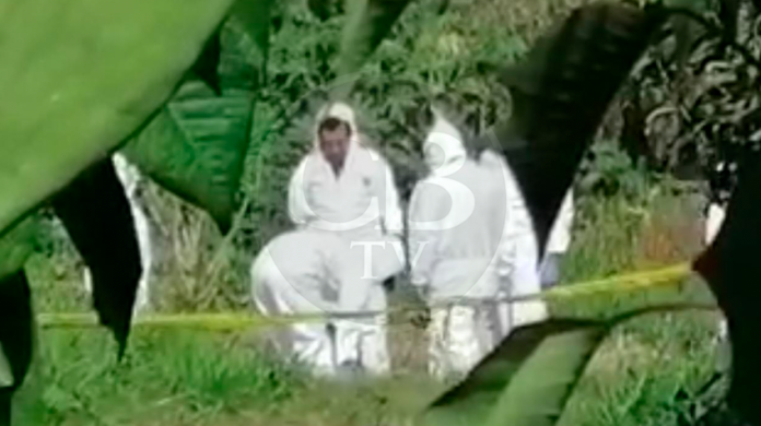 Localizan un decapitado en la colonia Margaritas de Morelia