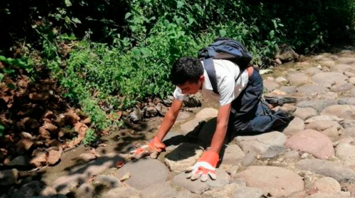 Menor con parálisis gatea 2 km diarios para llegar a su escuela