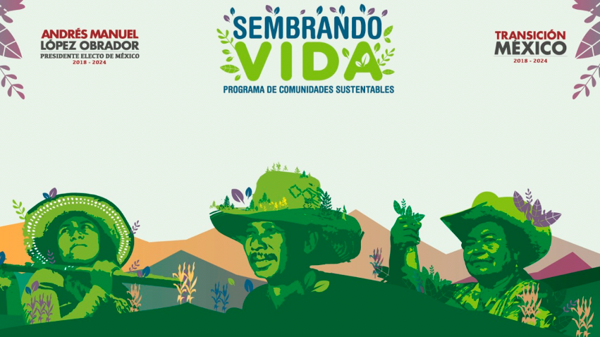 229 mil campesinos participan en Sembrando Vida, el programa de creación de empleos más grande del país: AMLO 229 mil campesinos participan en Sembrando Vida, el programa de creación de empleos más grande del país: AMLO