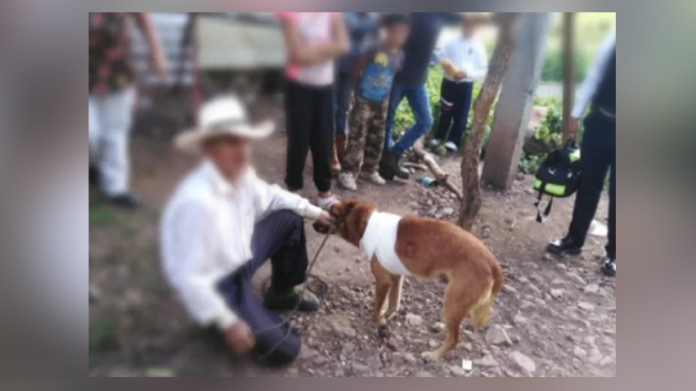 Policía Morelia hace que hombre que macheteó un perrito, lo cure