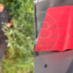 Tres policías muertos, patrullas incendiadas y narcomensajes, deja enfrentamiento en Aguililla