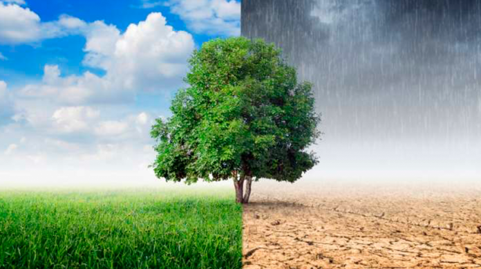 México reitera su compromiso en el combate al cambio climático 