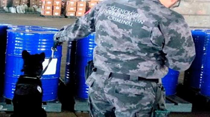 Incauta PF droga en empresa de paquetería de Morelia