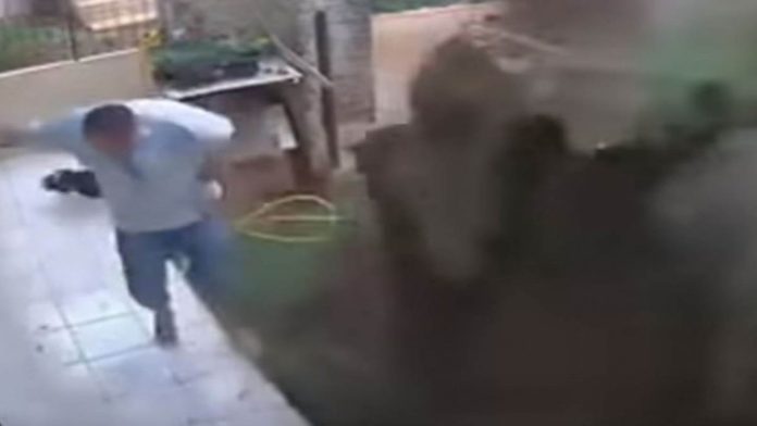 Video: Hombre explota su jardín por plaga de cucarachas