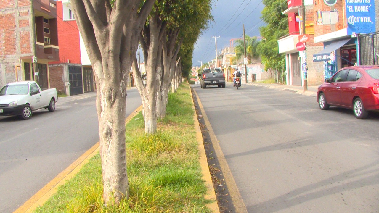 Inseguridad sobre la Av. Marfil Norte
