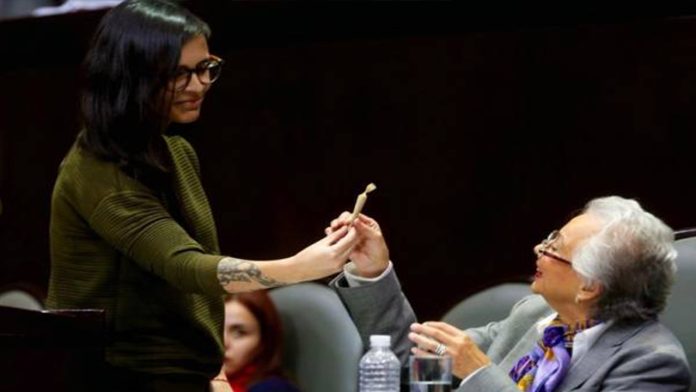 Obsequian “churro” de mariguana a secretaria de Gobernación