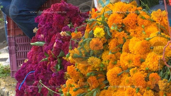 Baja la venta de flores tradicionales para altares por economía e inseguridad