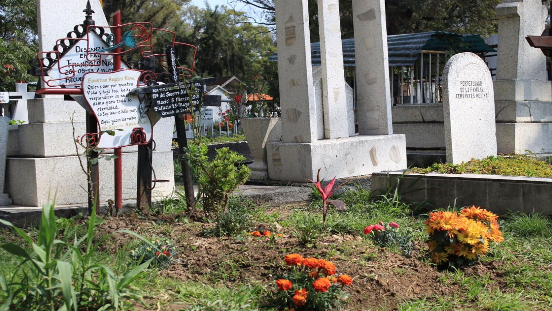 Esperan 60 mil visitantes a Panteones San Juan Evangelista y Jardines de la Paz Esperan 60 mil visitantes a Panteones San Juan Evangelista y Jardines de la Paz
