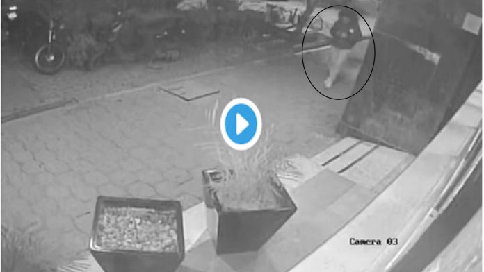Video: Sujeto estrangula a mujer para robarle su celular