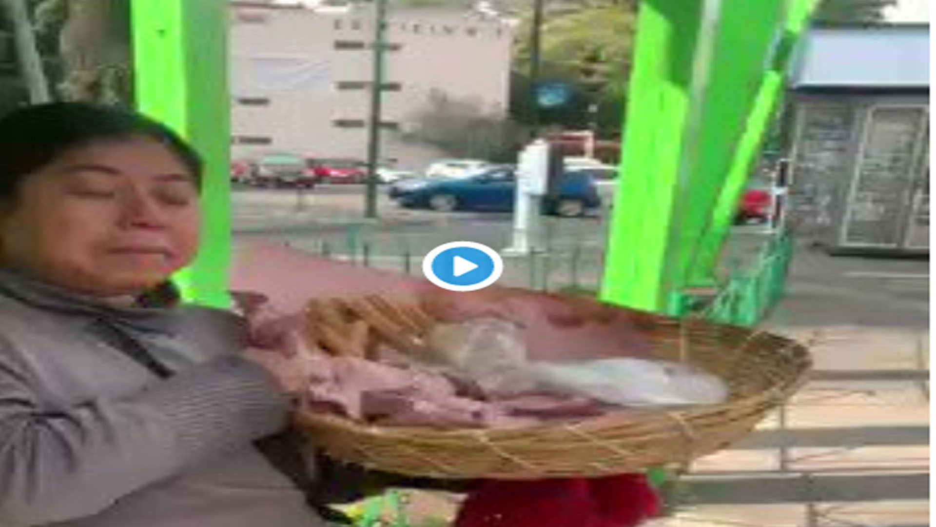 Video: Vendedora de churros denuncia que policías le tiraron sus churros; “Me hicieron calzón chino” Video: Vendedora de churros denuncia que policías le tiraron sus churros; “Me hicieron calzón chino”