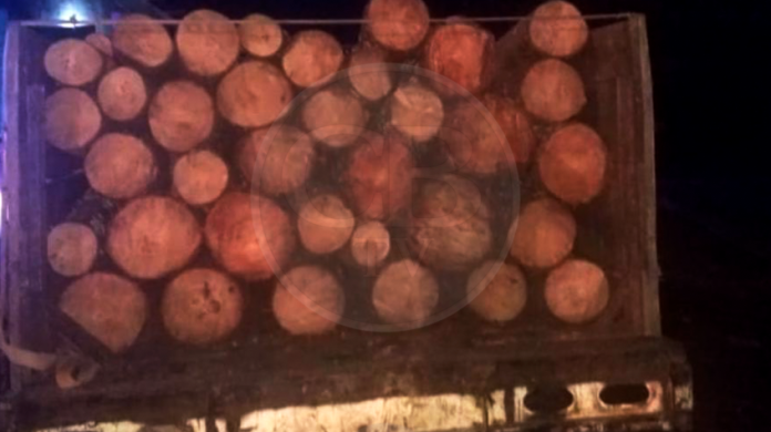 Aseguran camioneta cargada con 80 rollos de madera ilegal