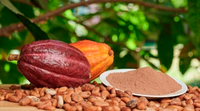 Chocolate: exquisito aroma y sabor de México para el mundo
