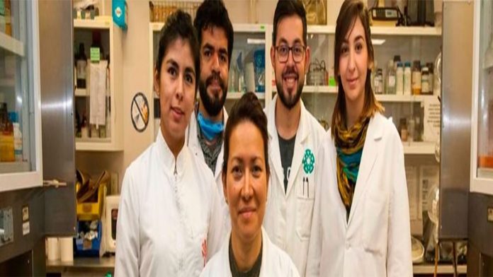 Investigadores mexicanos logran eliminar el virus del papiloma