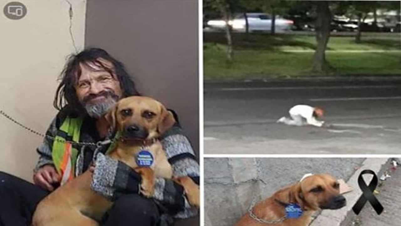 Piden ayuda para don Raúl, indigente que perdió a su perrito Piden ayuda para don Raúl, indigente que perdió a su perrito