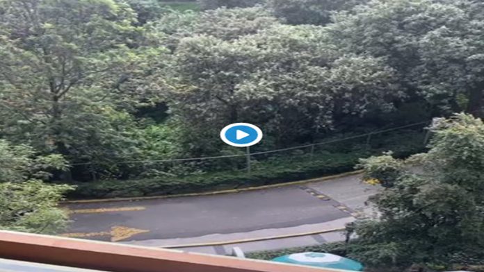 Video: Reportan balacera en el Tec de Monterrey