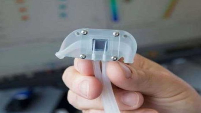 Crean riñón artificial que ayudará a mejor la vida de personas con diálisis