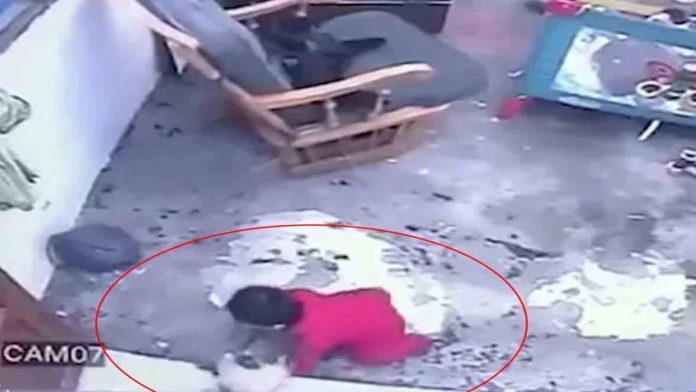 Video Viral: Gatito salva a bebé de caer por las escaleras