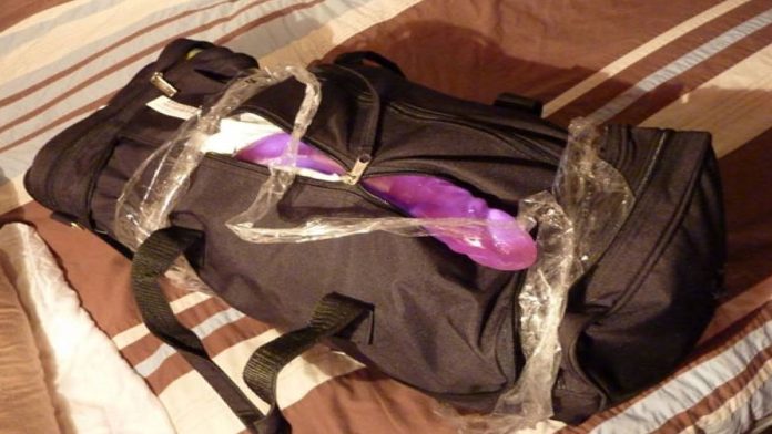 Confunden vibrador con una bomba durante concierto
