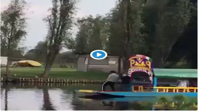Video: Captan a turistas orinando en el lago de Xochimilco