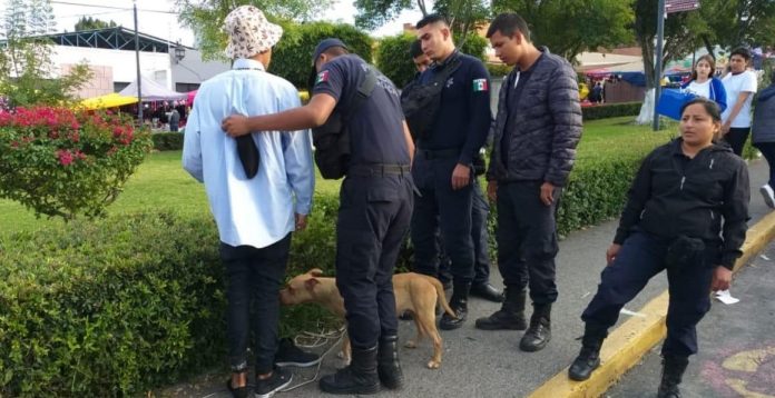 Mantiene SSP dispositivo de vigilancia en el Santuario de Guadalupe 