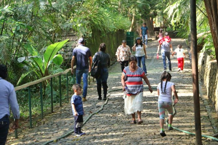 Espera Parque Nacional más de 50 mil visitantes en temporada vacacional: Antonio Chuela