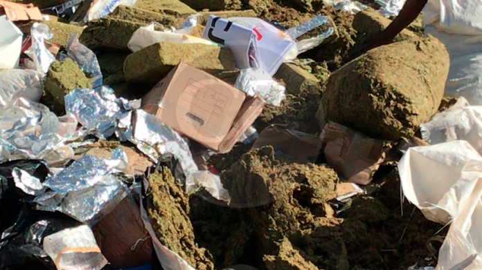 Milicia destruye drogas decomisadas en Michoacán