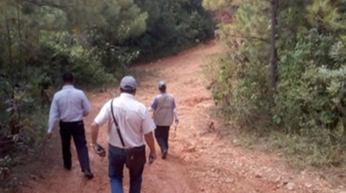 Clausuran dos predios en Zitácuaro donde removían vegetación y pretendían cambio de uso de suelo