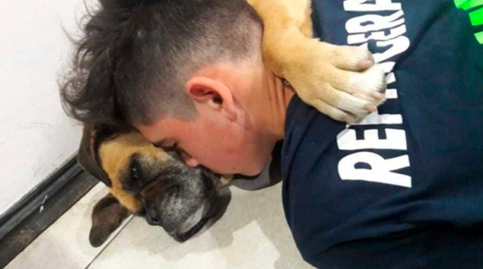 Perrita muere abrazada de su dueño a causa del ruido de la pirotecnia