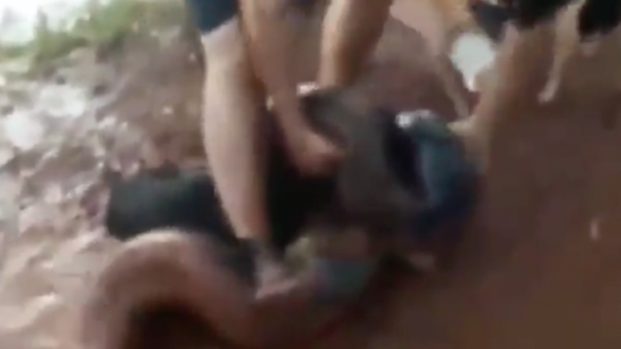 VIDEO: Ciclistas luchan contra anaconda para salvar a su perro
