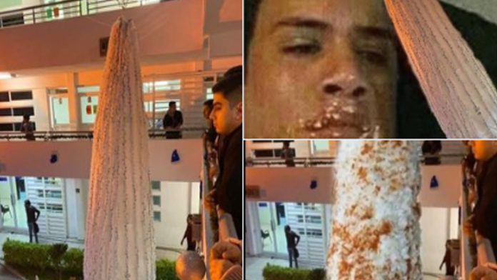 Universidad suspende a alumnos que hicieron memes de su árbol de navidad