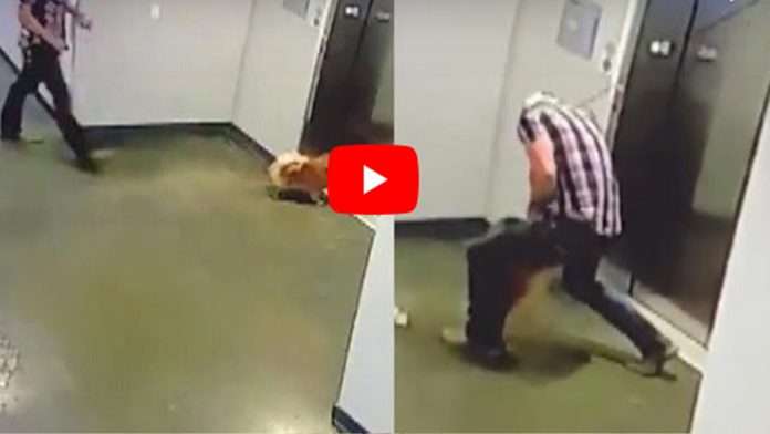 Video: Hombre salva a perrito de morir ahorcado