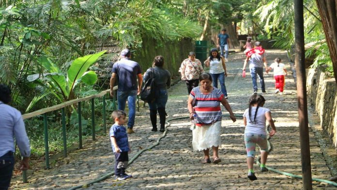 Espera Parque Nacional más de 50 mil visitantes en temporada vacacional: Antonio Chuela