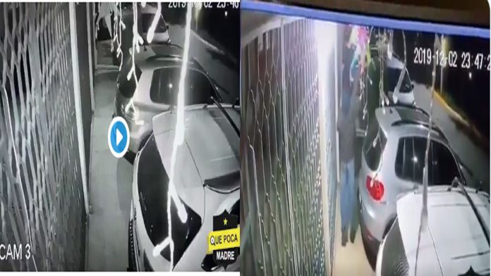 Video: “Grinch mexicano” es captado robando piñatas y adornos navideños
