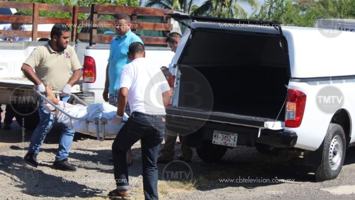 Abejas pican a un anciano y muere camino al hospital