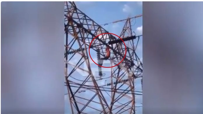 VIDEO (+18): Hombre se electrocuta y cae de 30 metros