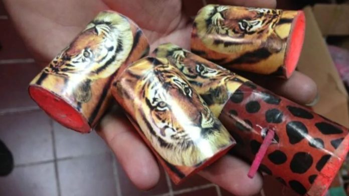 “Garra de tigre” le explota y le desgarra las extremidades a niño
