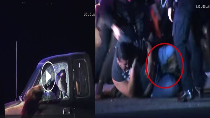 Video: Perro policía muerde los genitales de un presunto delincuente