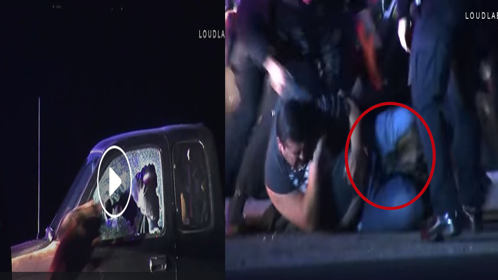 Video: Perro policía muerde los genitales de un presunto delincuente Video: Perro policía muerde los genitales de un presunto delincuente