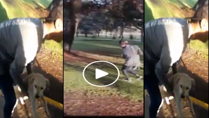 Video: Alumno de universidad mexicana maltrata a perrito callejero dentro del campus