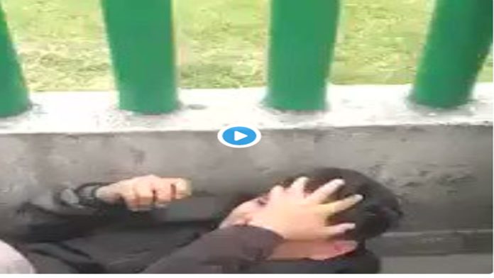 Video: Golpean a acosador sexual; termina llorando