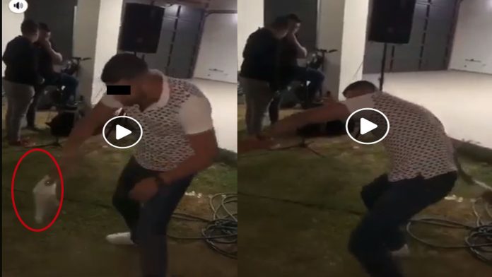 Video: Buscan a michoacano que torturó a un conejito