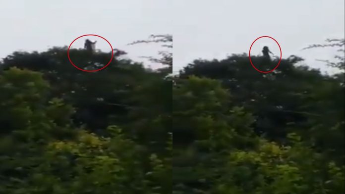Video: Graban a la llorona lamentándose y se hace viral