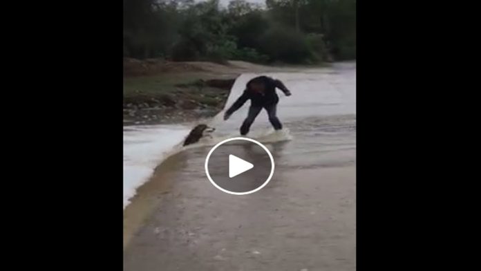 Video: Funcionario rescata a perrito de morir ahogado en Sonora