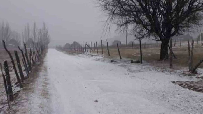 Nevadas pintan de blanco las carreteras y provoca cierres en Chihuahua