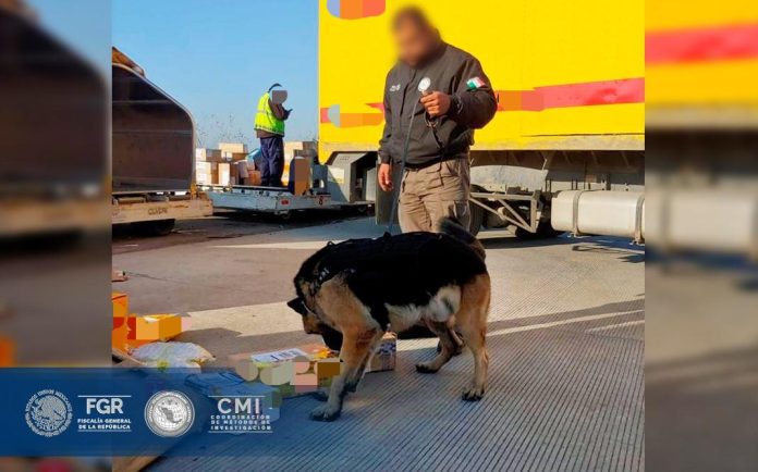 Incautan cartuchos en empresa de paquetería; FGR ya investiga