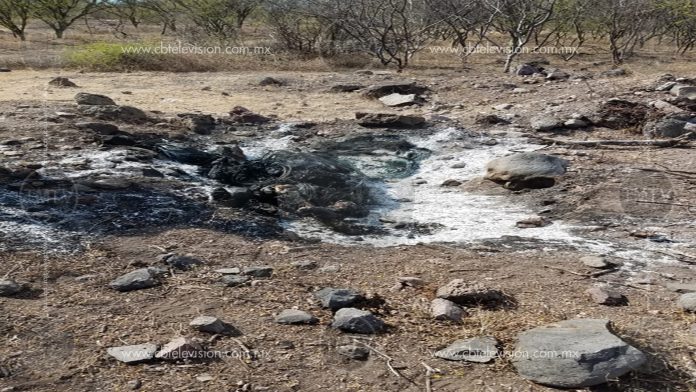 Jornada violenta en Michoacán; encuentran a dos personas calcinadas en Buenavista