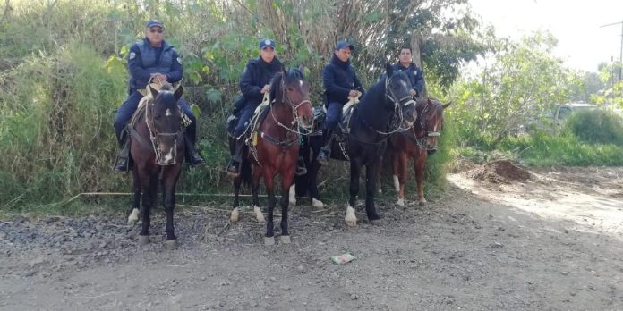 Unidad Montaba fortalece la seguridad, en Morelia: SSP