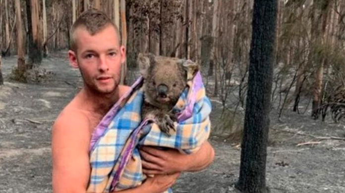 Cazador deja las armas para rescatar koalas en Australia