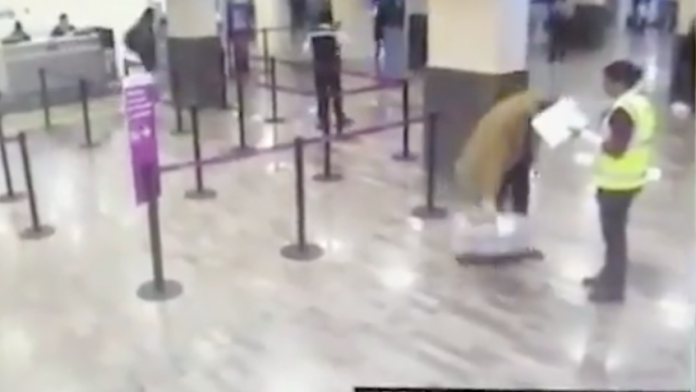 VIDEO: Asegura que Volaris rompió la jaula de su perro, pero la aerolínea lo exhibe en grabación