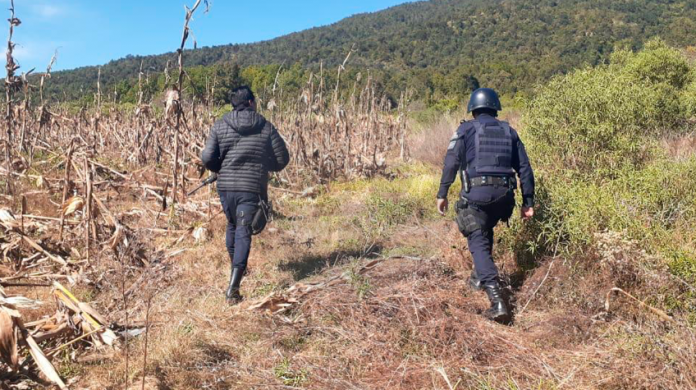 Hallan un cadáver flotando en el río Duero